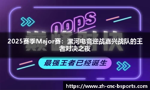 2025赛季Major赛：漯河电竞迎战嘉兴战队的王者对决之夜